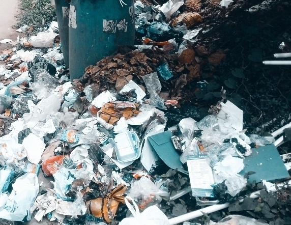Health at Risk: The Costly Dangers of Poor Waste Management in the Student Community